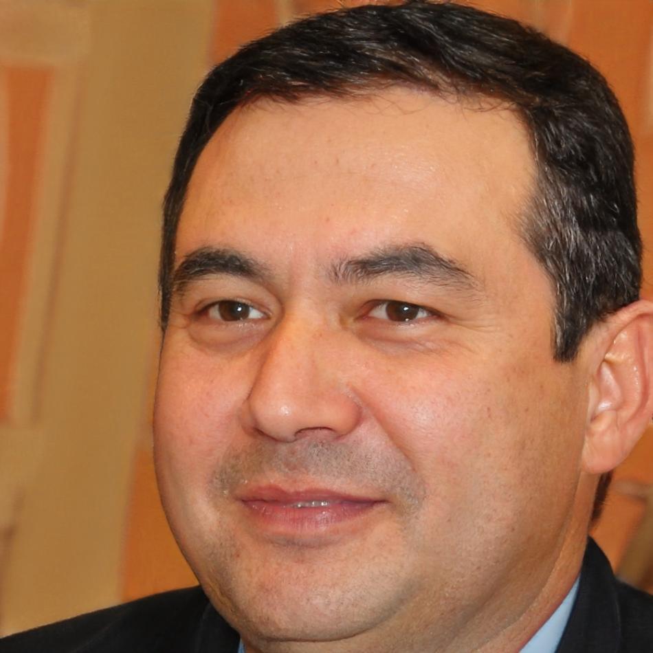 Experto en integración de sistemas de gestión empresarial